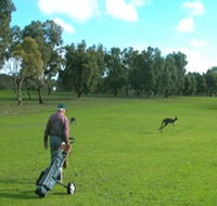 Coffin Bay Golf Club - Foster Accommodation