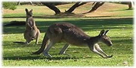 Rockingham Golf Club - Foster Accommodation 2