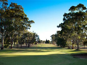 Loxton SA Foster Accommodation