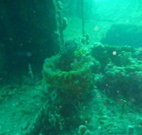 Wallaroo Scuba Club - Foster Accommodation