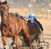 Ballarat  District Trotting Club - Foster Accommodation