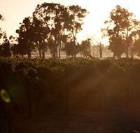 Evans  Tate - Foster Accommodation