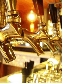 Lismore NSW Foster Accommodation