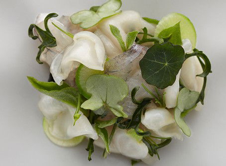 Quay - Foster Accommodation 1