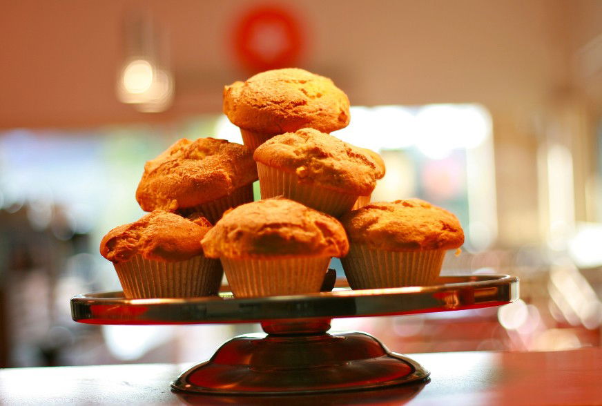 Bundall QLD Foster Accommodation