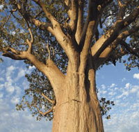 The Kimberley Grande - Foster Accommodation