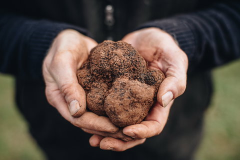 A Taste Of Truffles - Foster Accommodation 0