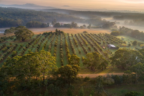 A Taste Of Truffles - Foster Accommodation 1