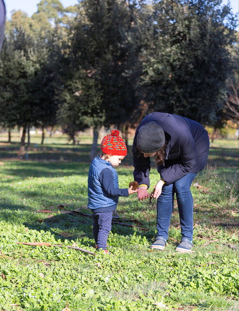 A Taste Of Truffles - Foster Accommodation 2