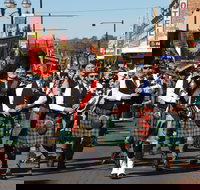 Australian Celtic Festival - Foster Accommodation