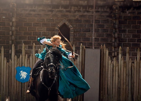 Baroque Horse Festival - Foster Accommodation 0