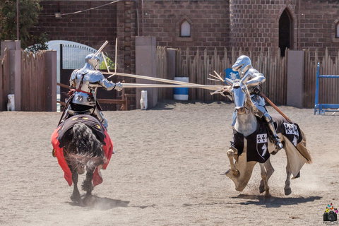 Baroque Horse Festival - Foster Accommodation 2