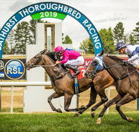 Bathurst Cup - Foster Accommodation