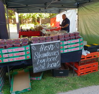 Clare Show Market - Foster Accommodation