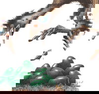 Edward the Emu - Foster Accommodation