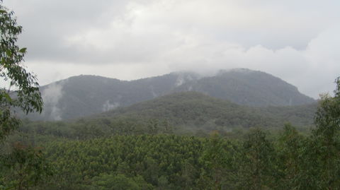 Elephant Trail Race - Foster Accommodation 2