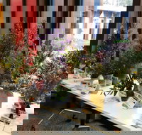 Grampians Wildflower Show - Foster Accommodation