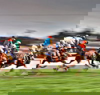 Grafton July Racing Carnival - Foster Accommodation