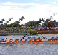 Jacaranda Dragon Boat Races - Foster Accommodation