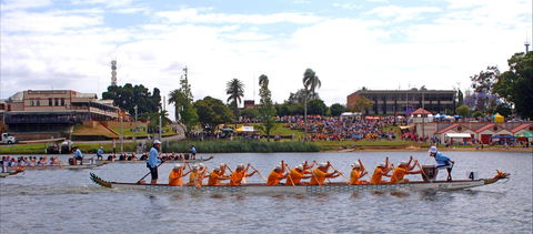 Jacaranda Dragon Boat Races - Foster Accommodation 0