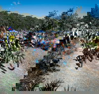 JetBlack Wild Wombat MTB Challenge - Foster Accommodation