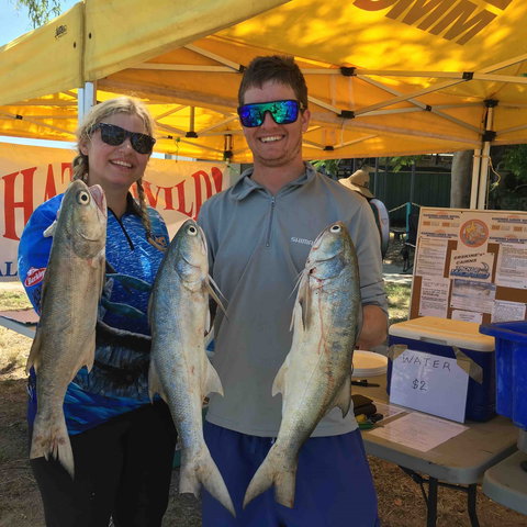 Karumba Anglers Classic - Foster Accommodation 1