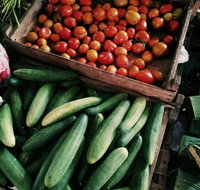 Lawrence Farmers and Community Markets - Foster Accommodation
