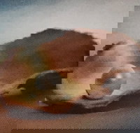 Lecture Cancelled  ADFAS  Lecture Half-Day - Patricia Law speaking on Pearls and Diamonds - Foster Accommodation