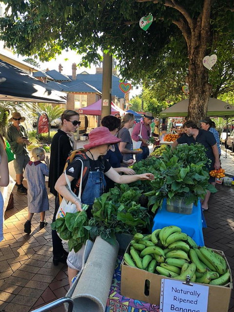 Lismore Produce Markets - Foster Accommodation 1