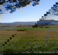 Milton Village Showground Markets - Foster Accommodation