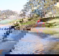 Mountain Man Tri Challenge - Foster Accommodation