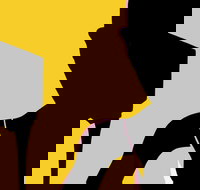 Naked Classics Fantastic Symphonies - Foster Accommodation