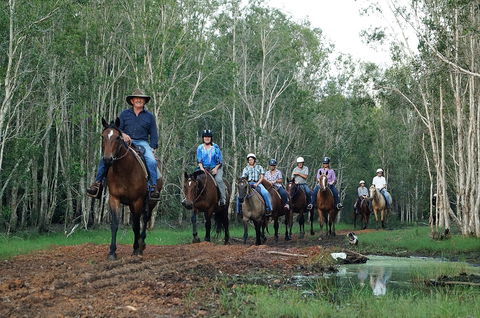 Night Horse Ride And Dinner - Foster Accommodation 0