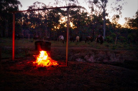 Night Horse Ride And Dinner - Foster Accommodation 2