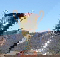 Nimbin Poetry World Cup - Foster Accommodation