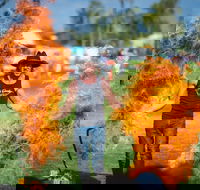 Outback Festival - Foster Accommodation