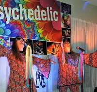 Psychedelic 70s Show The Retro Girls - Foster Accommodation