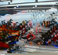 Recovery of the Great Barrier Reef expedition - Foster Accommodation