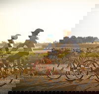 Rutherglen Gourmet Amble - Foster Accommodation