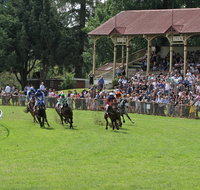 Tumut Derby Day - Foster Accommodation