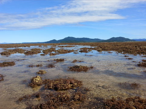 Walk To The Reef - Foster Accommodation 0