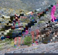 Wonderland Run - Foster Accommodation