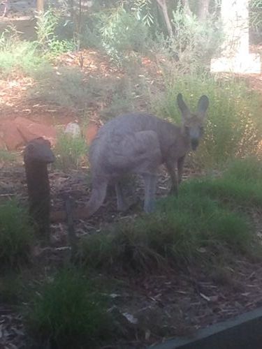 Queensland Winter Craft Festival - Foster Accommodation 4