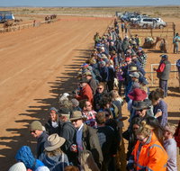 28th Marree Australasian CAMEL CUP 3 July 2021 - Foster Accommodation