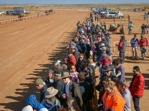 28th Marree Australasian CAMEL CUP 3 July 2021 - Foster Accommodation 0