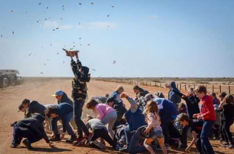 28th Marree Australasian CAMEL CUP 3 July 2021 - Foster Accommodation 1