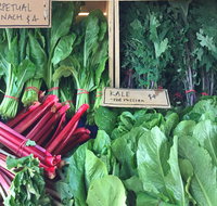 Albury Wodonga Farmers Market - Foster Accommodation