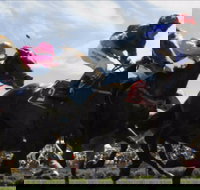 Batemans Bay Cup - Foster Accommodation