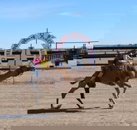 Bedourie Camel and Pig Races and Camp oven Cook-off - Foster Accommodation