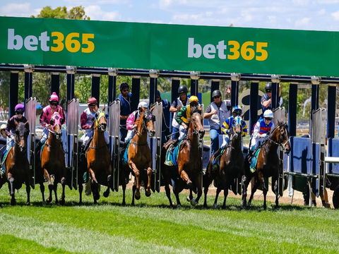 Bet 365 Caulfield Cup Day At Wodonga Race Course - Foster Accommodation 1